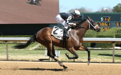 Cyberknife a Triple Crown Nominee is Racing in the Arkansas Derby