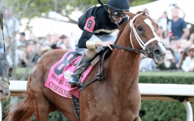 Owner of Cyberknife Racing in Kentucky Derby Named Him After the Technology Used to Treat His Prostate Cancer Saved His Life