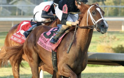 Cyberknife the Racehorse Continues to Educate the World About the Cancer Treatment That Saved His Owner’s Life